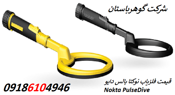 قیمت فلزیاب نوکتا پالس دایو Nokta PulseDive