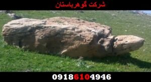 معنی نماد لاکپشت در دفینهیابی