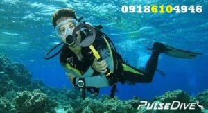 عمق فلزیاب PulseDive
