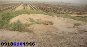 راه‌های شناسایی دفینه در مزرعه