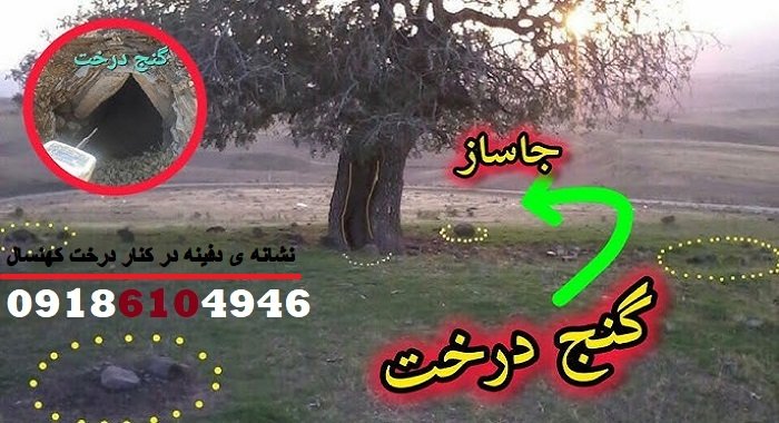 نشانه‌ ی دفینه در کنار درخت کهنسال
