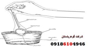 آموزش کامل شاقول زنی در گنج یابی