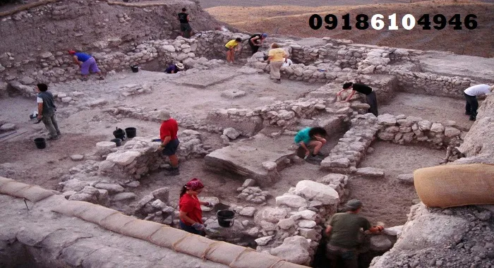 کجا احتمال وجود گنج بیشتر است؟