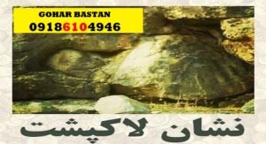 نقش سر لاکپشت در گنجیابی