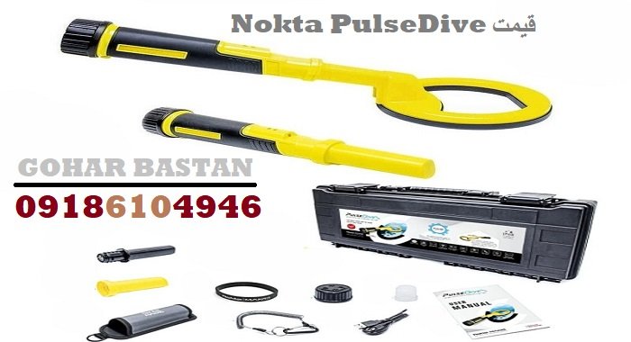 قیمت Nokta PulseDive