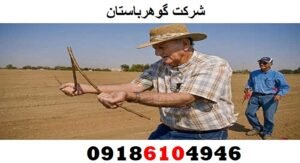 چوب انار در دفینهیابی