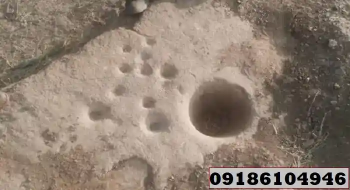 تفسیر جوغن