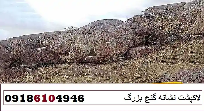 لاکپشت نشانه گنج بزرگ