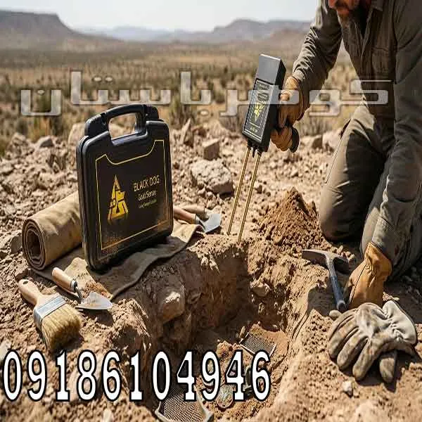 فروش ردیاب گلدسنس300